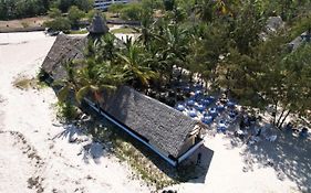 The New Big Tree Beach Resort